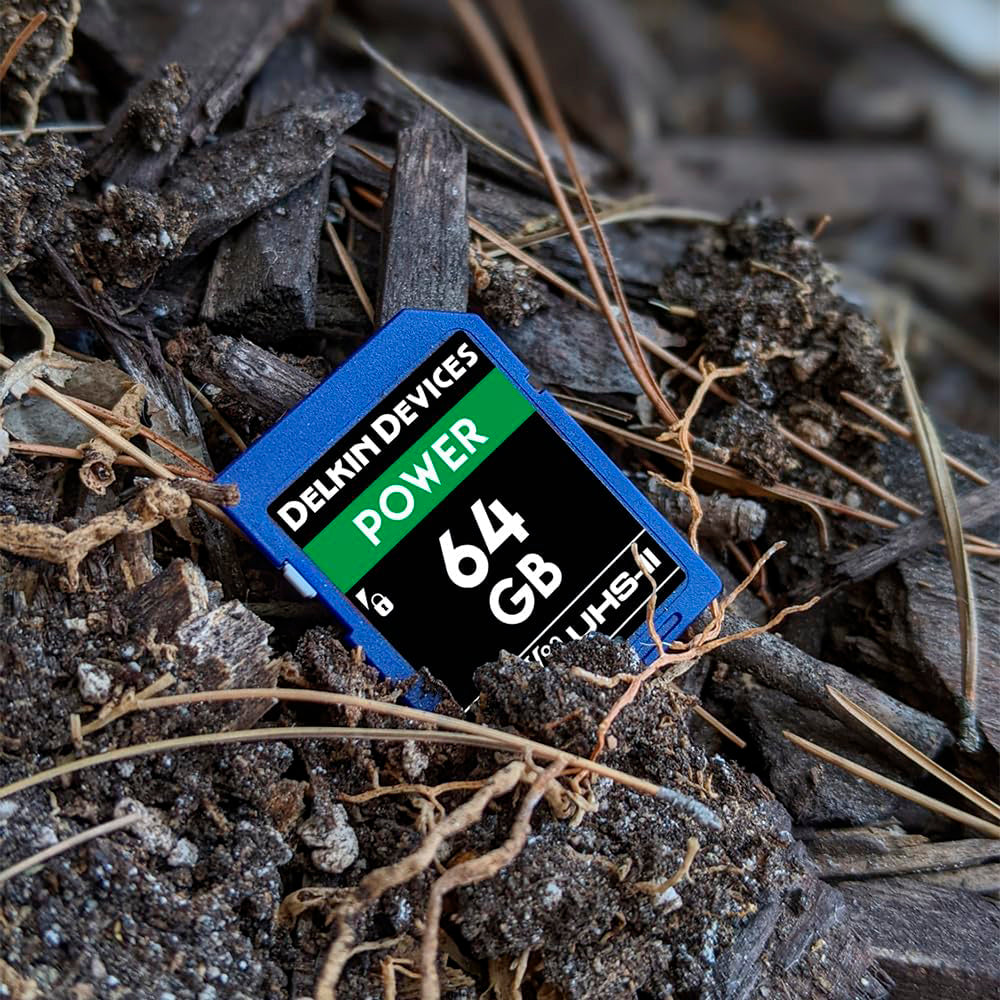 SD Delkin Devices SDXC UHS-II POWER - 64 GB V90 – Picacia
