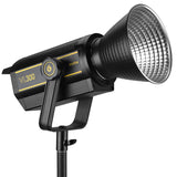 Luz LED - VL300